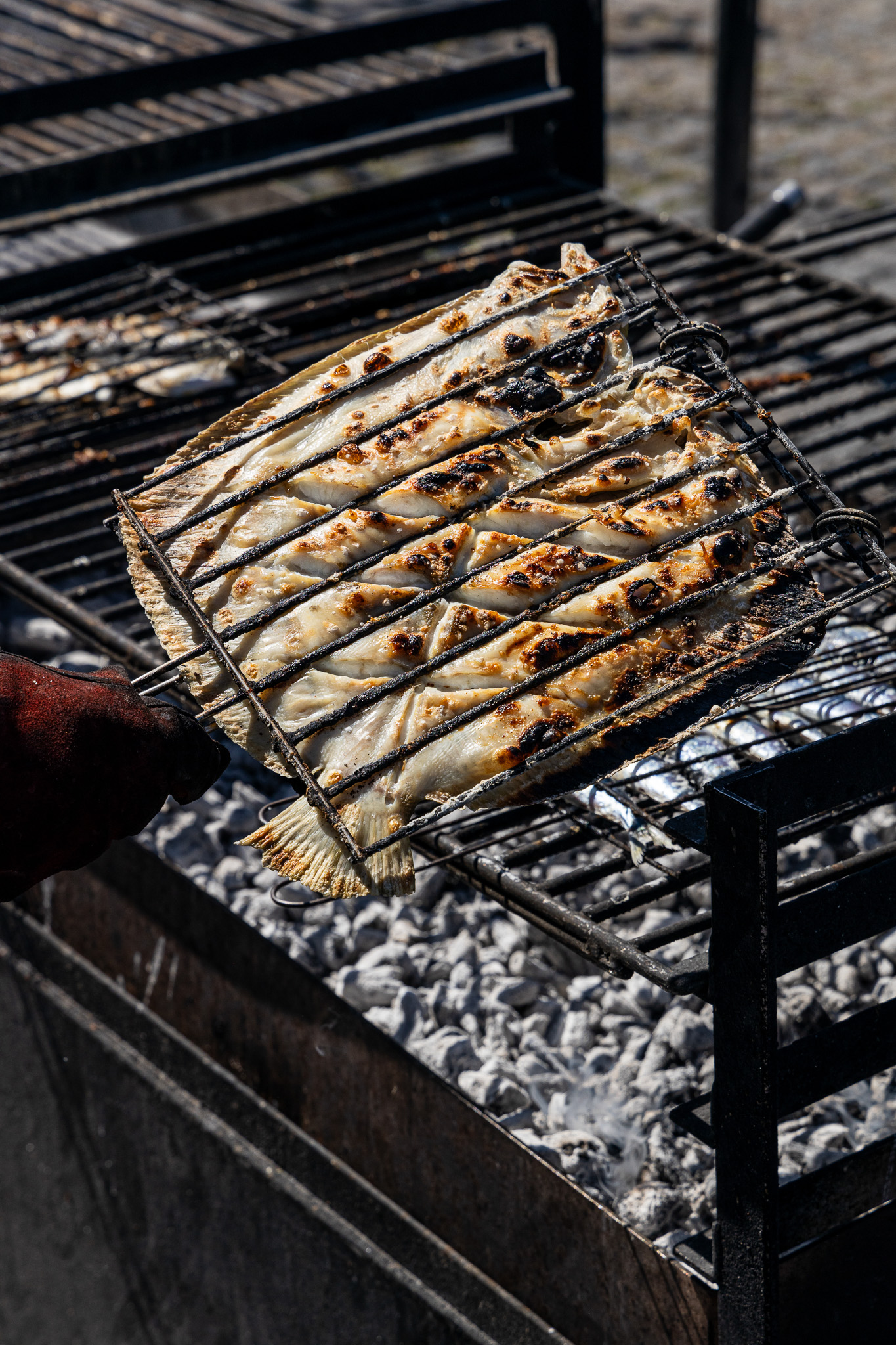 Peixe fresco grelhado na brasa